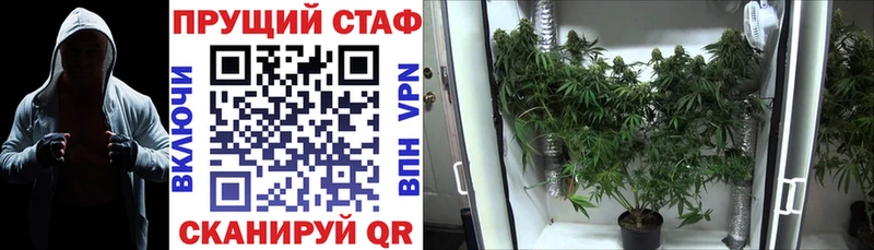 Виды наркотиков купить Истра ГАШ  КОКАИН  Псилоцибиновые грибы  Марихуана  Меф 