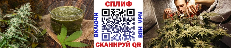 Cannafood марихуана  Истра 