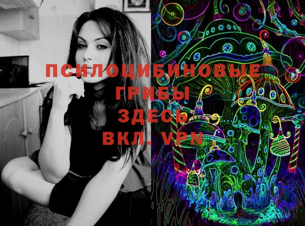 мет Новозыбков