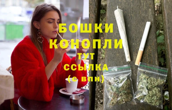 мет Новозыбков