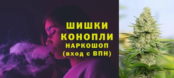 мет Новодвинск