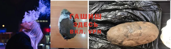 индика Нефтекумск