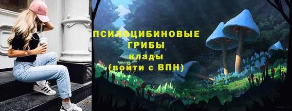 мет Новодвинск