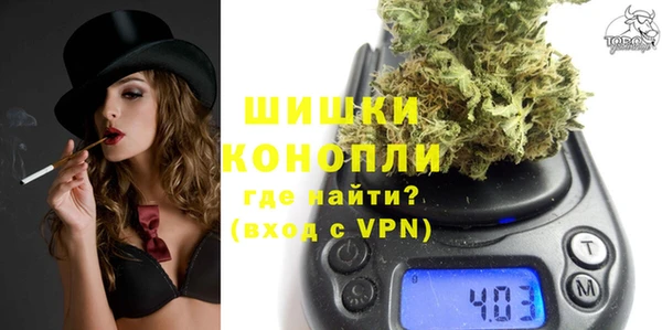мет Новозыбков