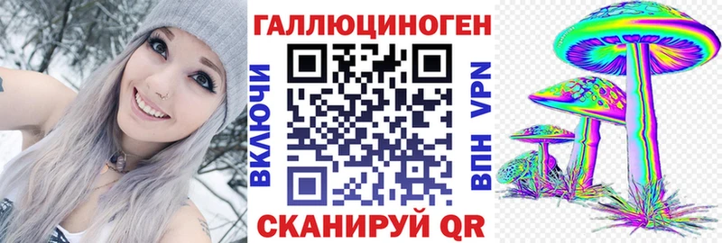 Псилоцибиновые грибы Psilocybe  наркота  Истра 