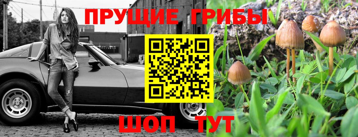 Псилоцибиновые грибы MAGIC MUSHROOMS Истра